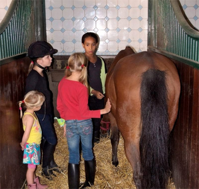 manege