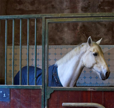 manege