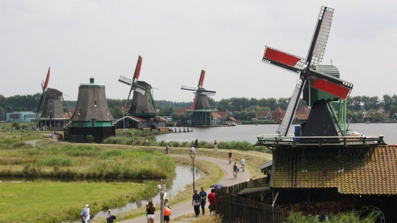 windmills