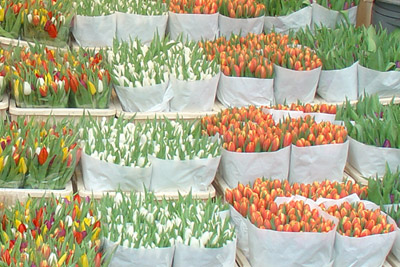 bloemenmarkt